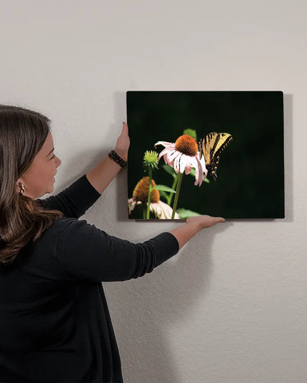 Delicate Balance: Swallowtail Butterfly Sipping Nectar - The Butterfly Mama