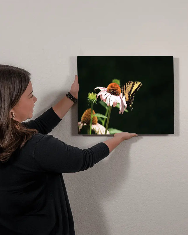 Delicate Balance: Swallowtail Butterfly Sipping Nectar - The Butterfly Mama
