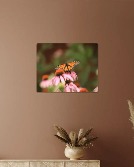 Fluttering Grace: Monarch Butterfly Amidst Wild Blooms - The Butterfly Mama