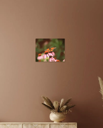 Fluttering Grace: Monarch Butterfly Amidst Wild Blooms - The Butterfly Mama