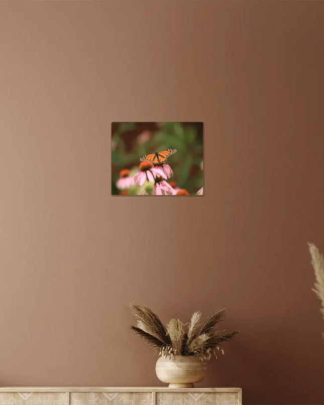 Fluttering Grace: Monarch Butterfly Amidst Wild Blooms - The Butterfly Mama