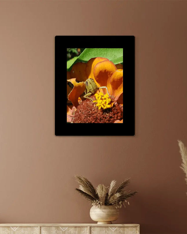 Garden Sentinel: A Grasshopper's Vibrant Perch - The Butterfly Mama