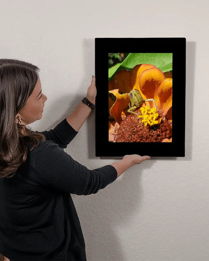 Garden Sentinel: A Grasshopper's Vibrant Perch - The Butterfly Mama