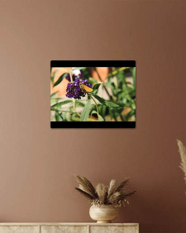 Golden Skipper: A Butterfly's Moment on Vibrant Blossoms - The Butterfly Mama