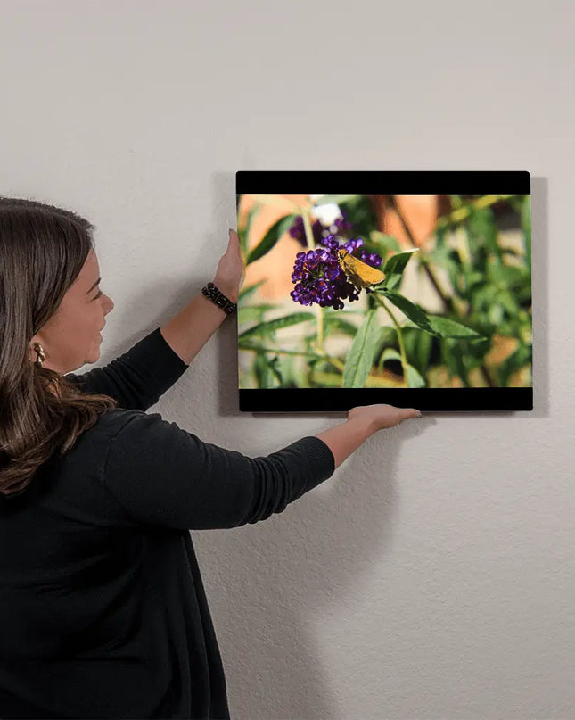 Golden Skipper: A Butterfly's Moment on Vibrant Blossoms - The Butterfly Mama