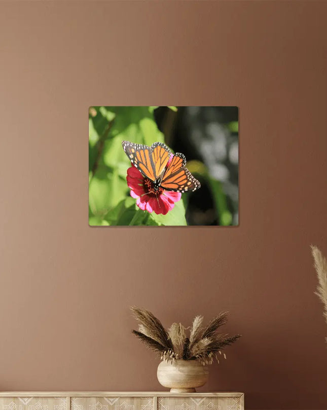 Graceful Monarch: A Butterfly's Delicate Dance on a Bloom - The Butterfly Mama