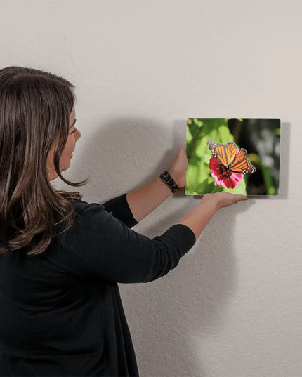 Graceful Monarch: A Butterfly's Delicate Dance on a Bloom - The Butterfly Mama