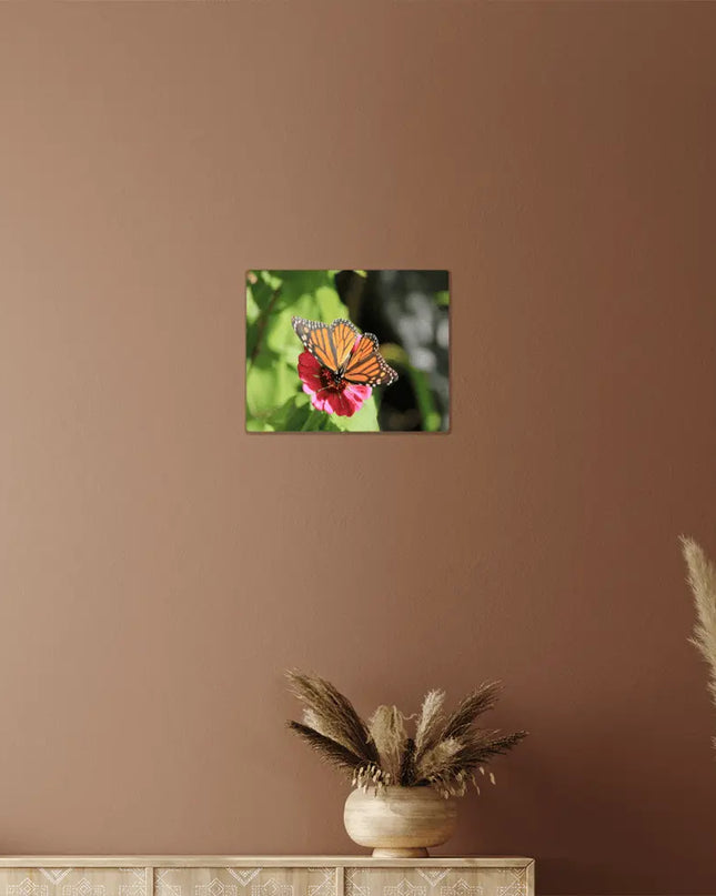 Graceful Monarch: A Butterfly's Delicate Dance on a Bloom - The Butterfly Mama