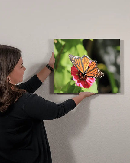 Graceful Monarch: A Butterfly's Delicate Dance on a Bloom - The Butterfly Mama