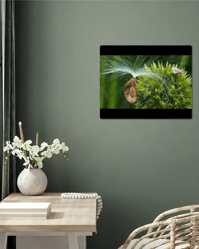 Milkweed's Whisper: A Seed's Journey on the Breeze - The Butterfly Mama