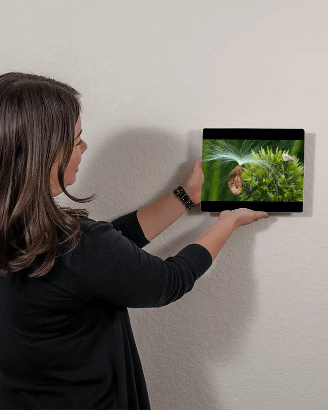 Milkweed's Whisper: A Seed's Journey on the Breeze - The Butterfly Mama