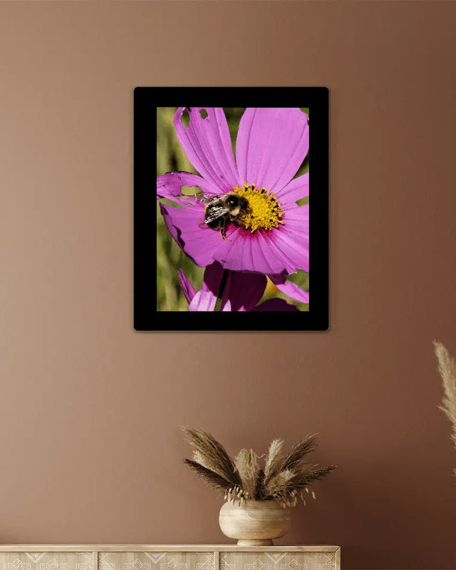 Pollination in Action: A Bee's Love for the Cosmos Flower - The Butterfly Mama