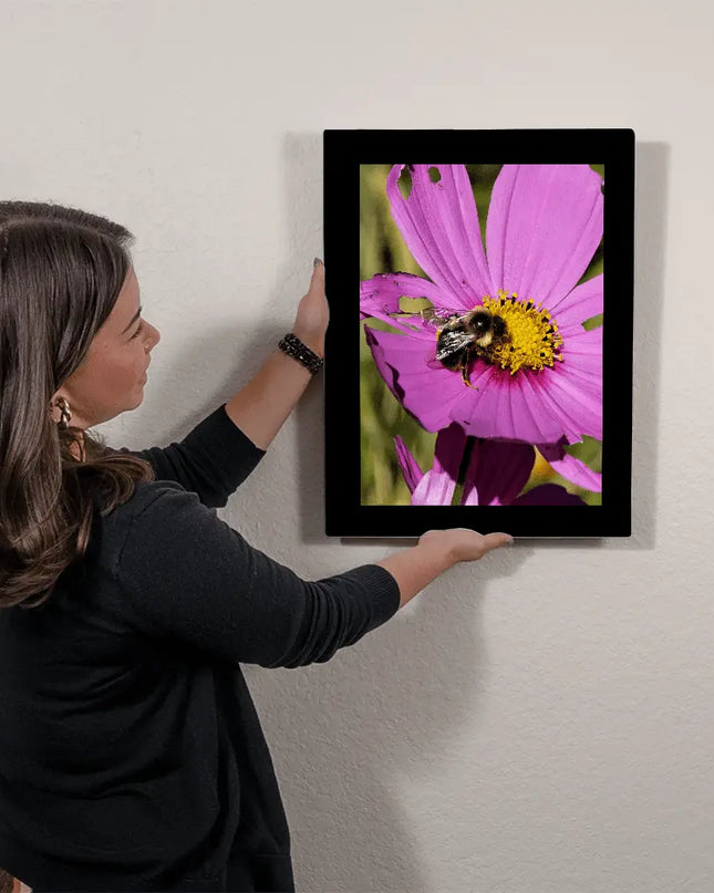 Pollination in Action: A Bee's Love for the Cosmos Flower - The Butterfly Mama