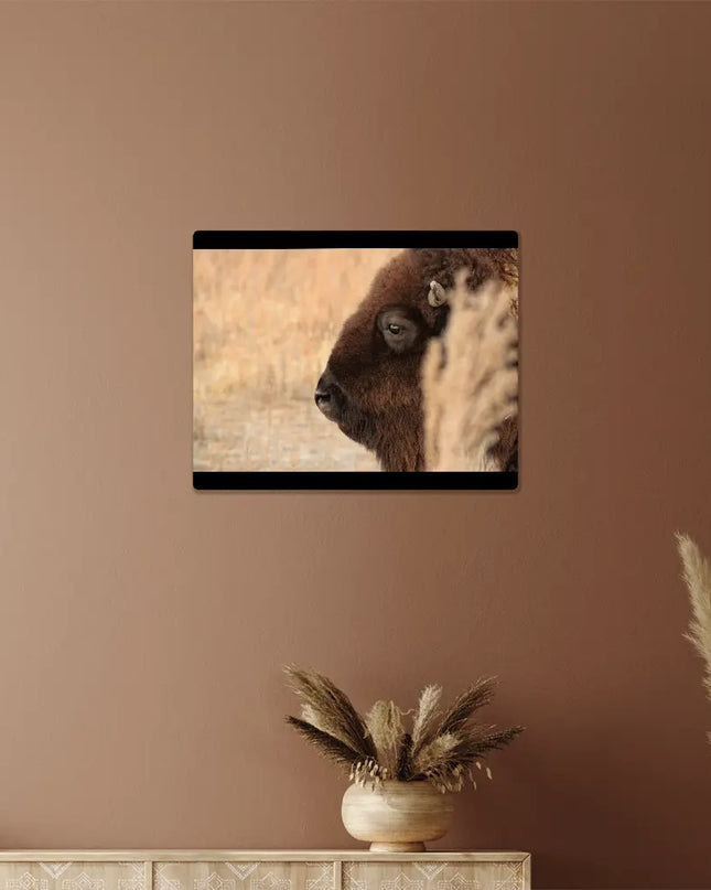 Soul of the Prairie: The Watchful Bison - The Butterfly Mama