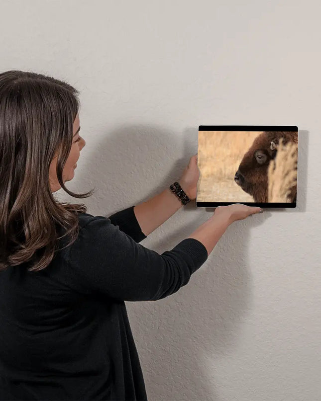 Soul of the Prairie: The Watchful Bison - The Butterfly Mama