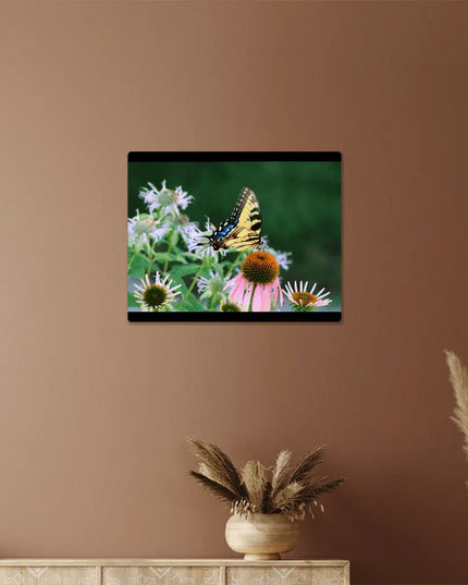 Vibrant Harmony: Swallowtail Butterfly on Coneflowers - The Butterfly Mama
