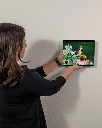 Vibrant Harmony: Swallowtail Butterfly on Coneflowers - The Butterfly Mama