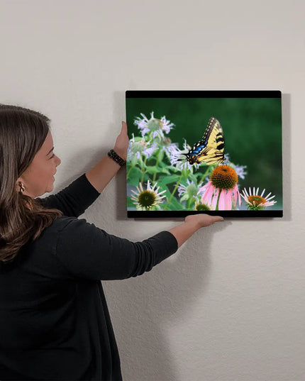 Vibrant Harmony: Swallowtail Butterfly on Coneflowers - The Butterfly Mama